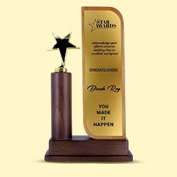 Star performer trophies